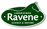 Ravene
